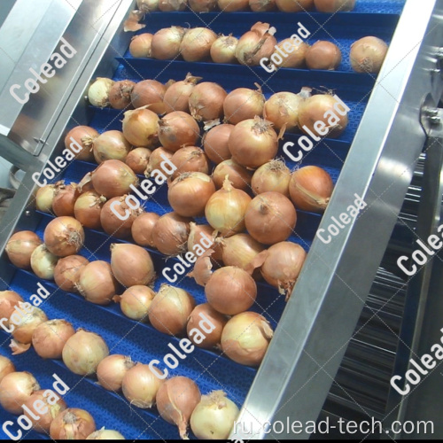 Автоматическая машина для сортировки овощей